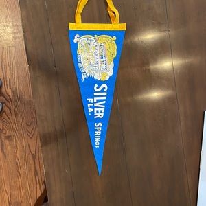 Vintage Silver Springs Fla. Glass Bottom Boat 17 ½” Felt Pendant